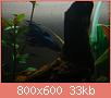         

:  DSC00817.jpg
:  329
:  33,1 KB