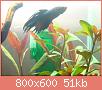         

:  DSC00818.jpg
:  342
:  50,6 KB
