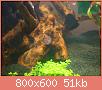         

:  DSC00819.jpg
:  253
:  51,2 KB
