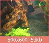         

:  DSC00821.jpg
:  266
:  62,5 KB