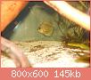         

:  DSCN1623.JPG
:  489
:  145,1 KB