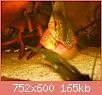         

:  DSCN1641.JPG
:  512
:  164,7 KB