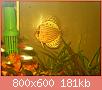         

:  DSCN1657.JPG
:  493
:  181,1 KB