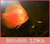         

:  DSCN1661.JPG
:  507
:  129,5 KB