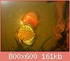         

:  DSCN1662.JPG
:  488
:  160,7 KB