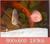         

:  DSCN1686.JPG
:  495
:  192,8 KB
