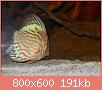         

:  DSCN1687.JPG
:  488
:  190,7 KB