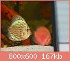         

:  DSCN1692.JPG
:  483
:  166,8 KB