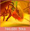         

:  DSCN1640.jpg
:  531
:  49,6 KB