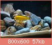         

:  DSC00763.jpg
:  312
:  56,8 KB