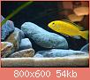         

:  DSC00766.jpg
:  295
:  53,6 KB
