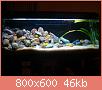         

:  DSC00754.jpg
:  400
:  46,3 KB