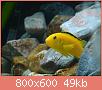         

:  DSC00755.jpg
:  285
:  48,7 KB