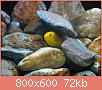         

:  DSC00759.jpg
:  325
:  71,7 KB