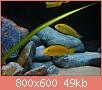         

:  DSC00769.jpg
:  270
:  48,7 KB