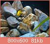         

:  DSC00773.jpg
:  285
:  81,4 KB