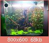         

:  DSC00834.jpg
:  509
:  67,7 KB