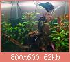         

:  DSC00837.jpg
:  458
:  62,5 KB