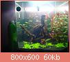         

:  DSC00845.jpg
:  418
:  60,4 KB