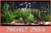         

:  Aquarium AC.JPG
:  413
:  256,3 KB