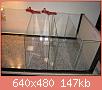         

:  IMG_0544.jpg
:  674
:  147,1 KB
