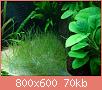         

:  DSC00860.jpg
:  468
:  69,6 KB