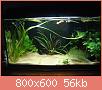         

:  DSC00865.jpg
:  508
:  56,5 KB