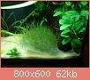         

:  DSC00866.jpg
:  448
:  61,6 KB