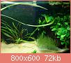         

:  DSC00867.jpg
:  433
:  71,7 KB