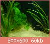         

:  DSC00868.jpg
:  416
:  60,0 KB