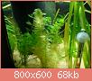         

:  DSC00870.jpg
:  414
:  67,7 KB
