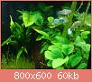        

:  DSC00886.jpg
:  273
:  60,1 KB