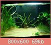         

:  DSC00890.jpg
:  253
:  69,3 KB