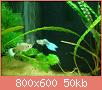        

:  DSC00891.jpg
:  282
:  49,5 KB