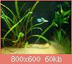         

:  DSC00894.jpg
:  266
:  59,5 KB