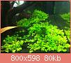         

:  IMG_0038.jpg
:  459
:  80,3 KB