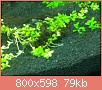         

:  IMG_0039.jpg
:  413
:  79,2 KB