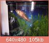         

:  DSCN0336.JPG
:  210
:  104,7 KB