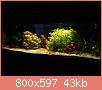         

:  _3072360.jpg
:  287
:  42,6 KB