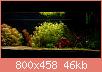         

:  _3072388.jpg
:  272
:  46,0 KB