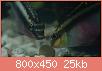         

:  DSC01730.jpg
:  541
:  24,7 KB