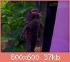         

:  100_1016.jpg
:  326
:  37,3 KB