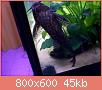         

:  100_1018.jpg
:  311
:  45,2 KB