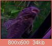         

:  100_1020.jpg
:  277
:  33,6 KB