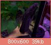        

:  100_1022.jpg
:  290
:  38,7 KB