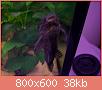         

:  100_1023.jpg
:  273
:  38,0 KB