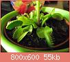         

:  DSCF0472.jpg
:  682
:  54,6 KB