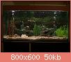         

:  P11010014.jpg
:  537
:  50,3 KB