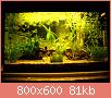         

:  5.jpg
:  442
:  81,3 KB