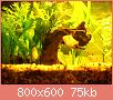        

:  8.jpg
:  429
:  74,9 KB